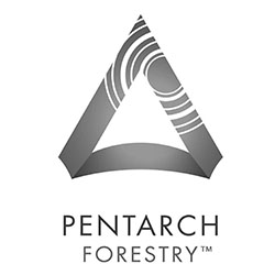 logos_0017_pentarch logo